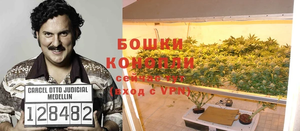 бошки Аркадак