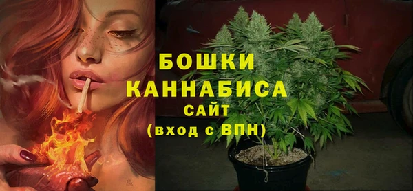 бошки Аркадак