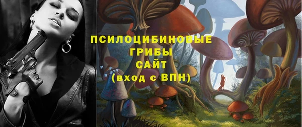 Альфа ПВП Арсеньев